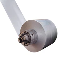 ASTM A653 33 laipsnio cinkuoto plieno ritė