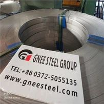 Stianless Coil Steel 310