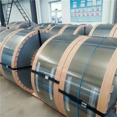 65JN1000 elektrinis plienas